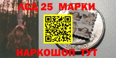 индика Заводоуковск