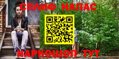индика Заводоуковск