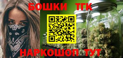индика Заводоуковск