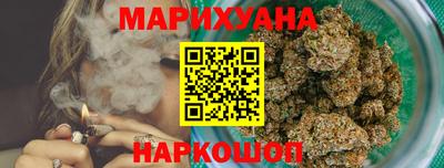 индика Заводоуковск