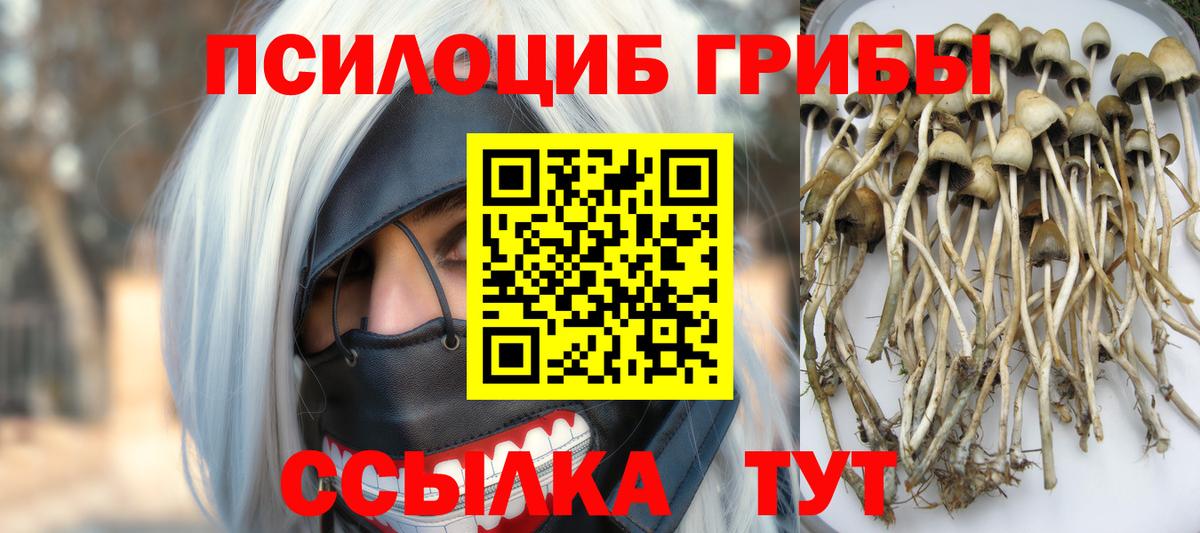 Галлюциногенные грибы GOLDEN TEACHER Выборг