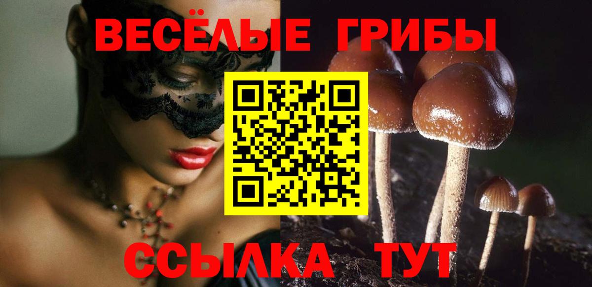 Галлюциногенные грибы MAGIC MUSHROOMS  Вход с VPN  как найти закладки  Выборг 