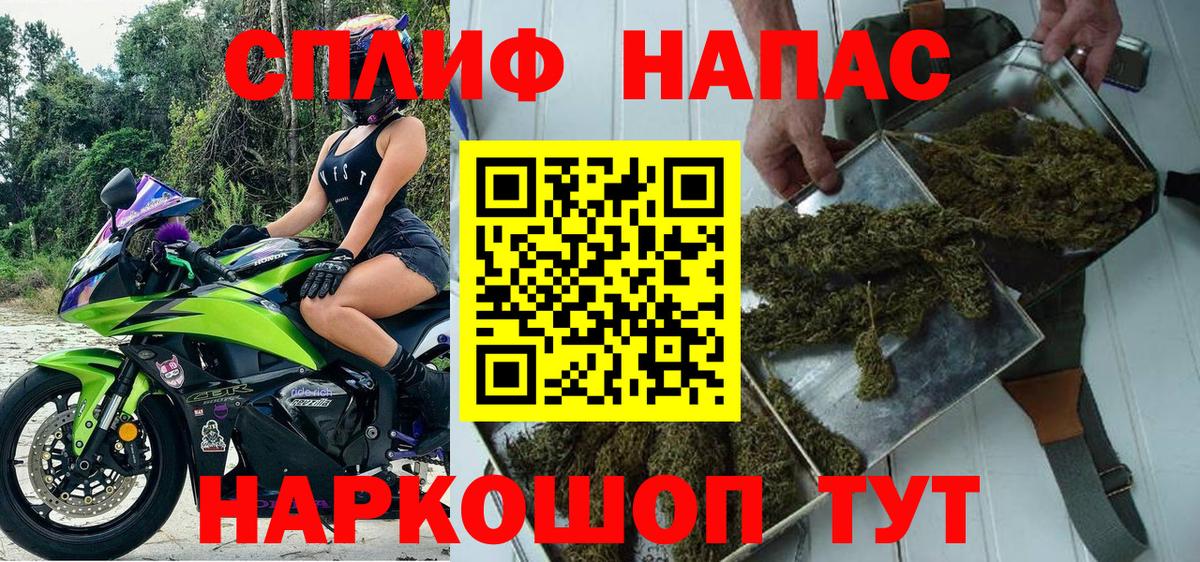 Шишки марихуана конопля  МАРИХУАНА семена  МАРИХУАНА планчик  Конопля AK-47  Выборг  Вход с VPN 