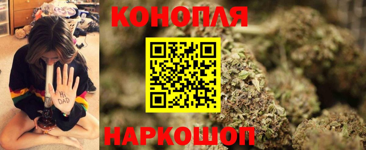 Каннабис план Выборг