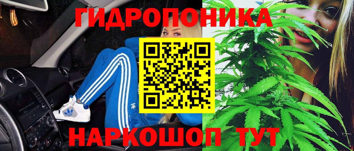 Шишки марихуана индика  Выборг  Каннабис OG Kush  Каннабис OG Kush 